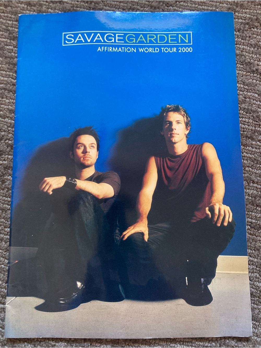 Savage Garden Affirmation World Tour 2000